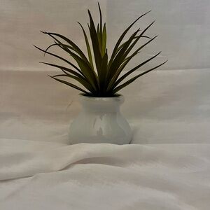 Mini Plastic Desk Plant 🪴